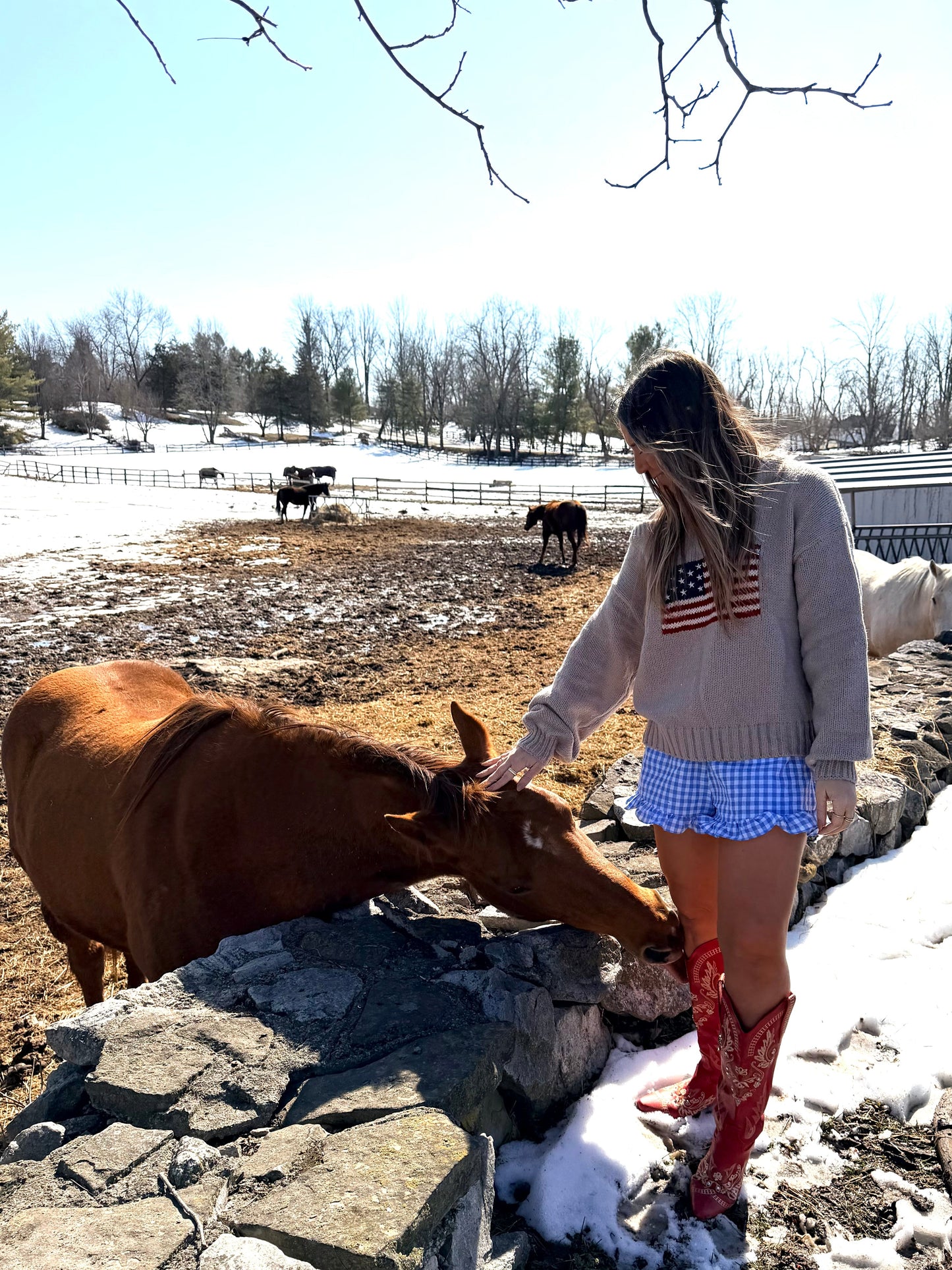 Honey Lane Ruffle Shorts